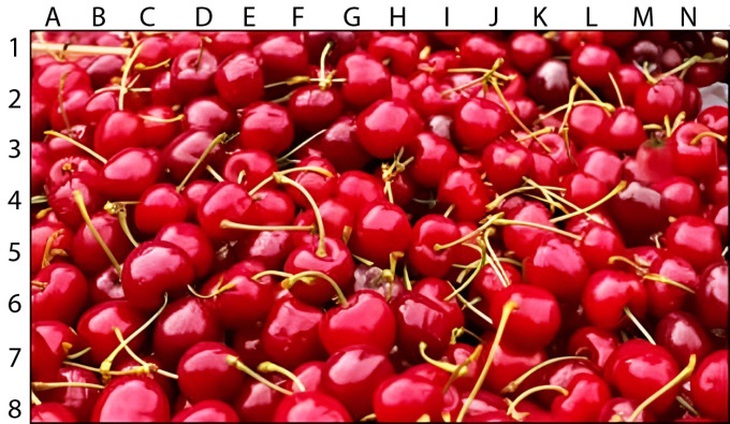Thử tài tinh mắt: Người đàn ông thứ 6 ẩn nấp ở đâu? - Ảnh 4. Thử tài tinh mắt: Người đàn ông thứ 6 ẩn nấp ở đâu? - Ảnh 4.