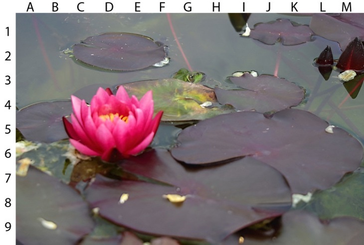 Thử tài tinh mắt: Người đàn ông thứ 6 ẩn nấp ở đâu? - Ảnh 7. Thử tài tinh mắt: Người đàn ông thứ 6 ẩn nấp ở đâu? - Ảnh 7.