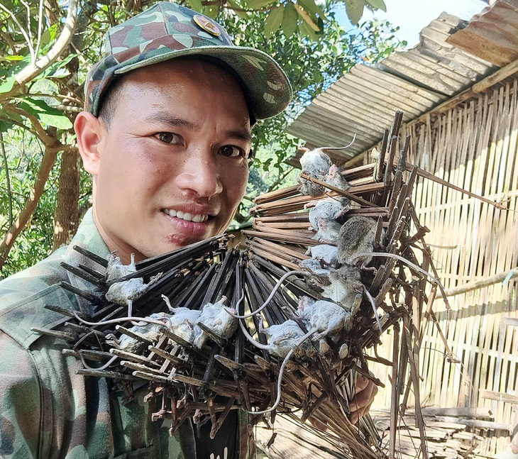 Bẫy chuột trộm sâm