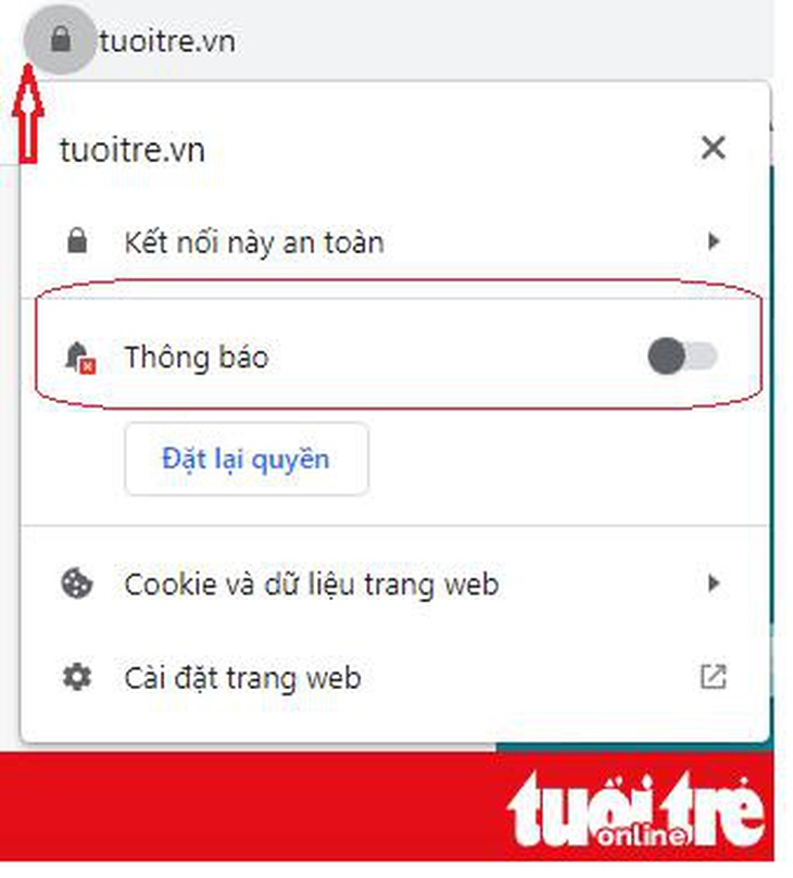 Báo Tuổi Trẻ cung cấp tin mới trên đa nền tảng - Ảnh 1.