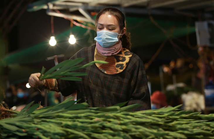 Lao động tự do, nhất là phụ nữ tham gia bảo hiểm xã hội tự nguyện sẽ có nhiều quyền lợi hơn theo đề xuất sửa Luật Bảo hiểm xã hội - Ảnh: GIA ĐOÀN