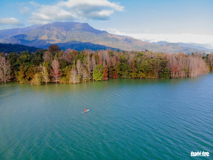 Hướng Hóa chấn chỉnh tour đi thuyền ngắm phong hương thay lá như trời Âu- Ảnh 2. Rừng phong hương đổi màu thu hút nhiều du khách đến thưởng lãm - Ảnh: HOÀNG TÁO