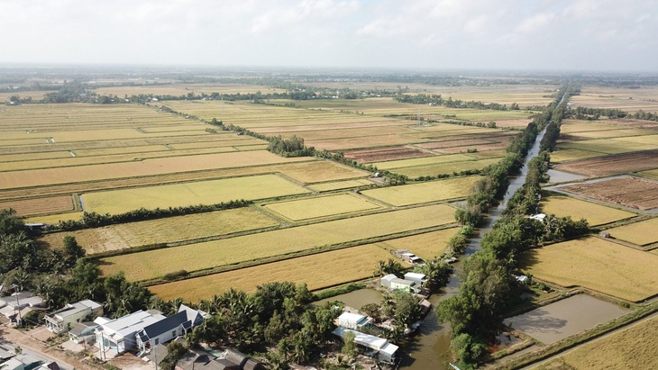 Luật Đất đai (sửa đổi) có nhiều điểm mới, đất nông nghiệp sẽ được người dân, doanh nghiệp khai thác linh hoạt hơn. Trong ảnh: đất nông nghiệp trồng lúa ở tỉnh Sóc Trăng - Ảnh: CHÍ QUỐC