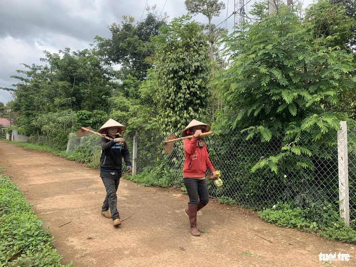 Cuộc sống tại hai xã Ea Tiêu, Ea Ktur (Cư Kuin, Đắk Lắk) đã bình yên trở lại - Ảnh: TRUNG TÂN