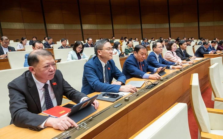 Đại biểu băn khoăn nguồn lực khoản vay đặc biệt lãi suất 0%, có thể phát sinh rủi ro - Ảnh 2.