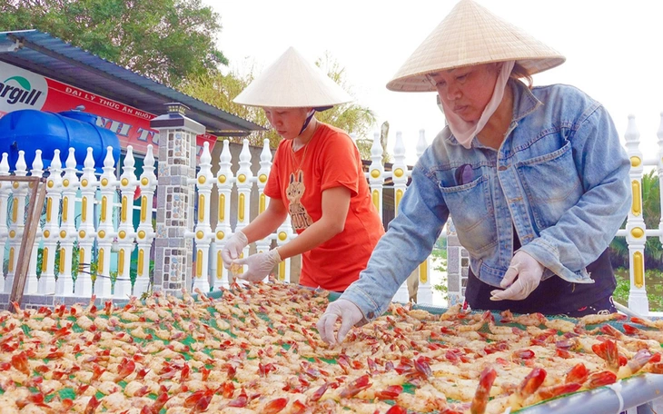 Mưa trái mùa xuất hiện, dân An Giang làm gì bảo vệ tôm càng xanh khỏi sốc nhiệt độ? - Ảnh 4.