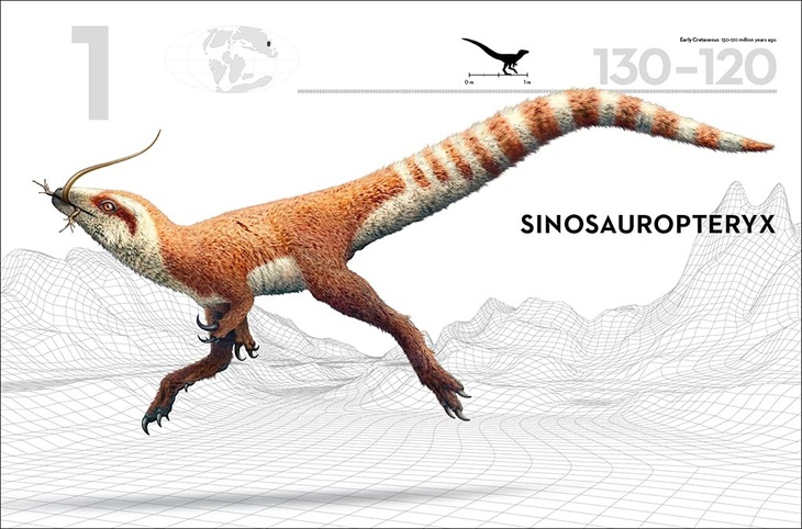 Khủng long Sinosauropteryx. Minh họa của Bob Nicholls trong sách của Michael J. Benton.