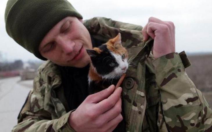 Nhật Bản tiếp tục bổ nhiệm mèo làm trưởng ga tàu - Ảnh 2.