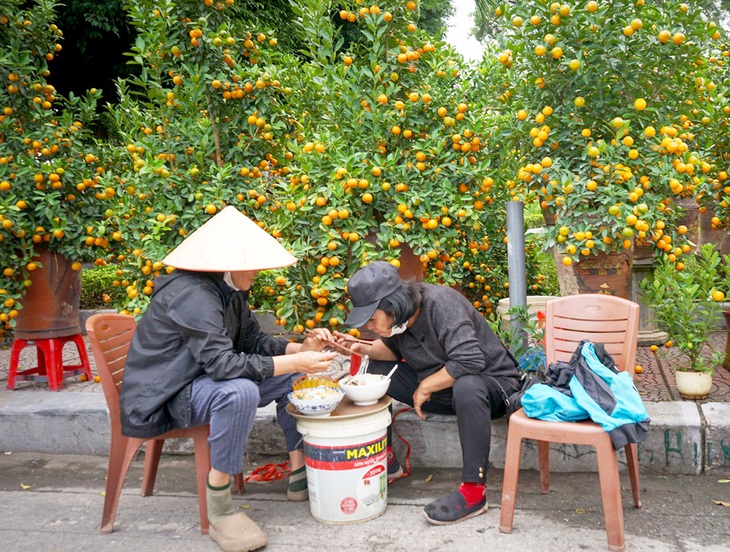 Gia đình bà Liên (Tứ Liên, Tây Hồ) ăn ở luôn trên vỉa hè để bán quất cảnh - Ảnh: VŨ TUẤN