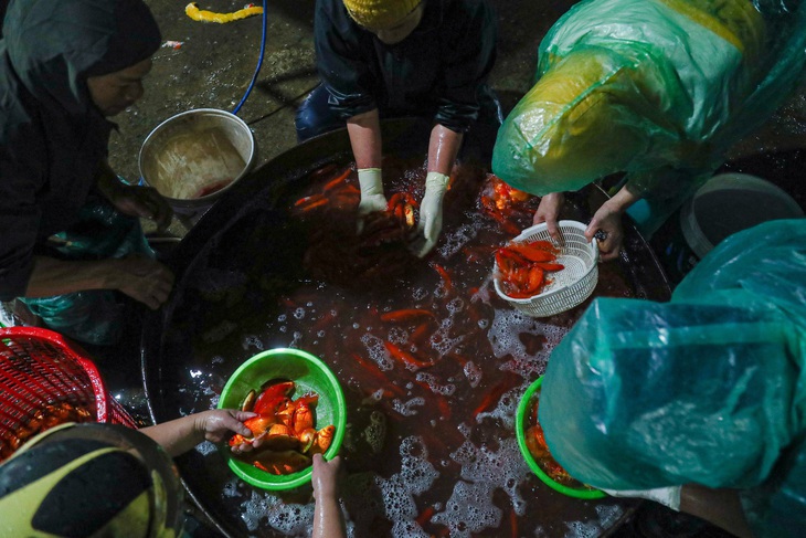 Tầm 4h sáng, khung cảnh lựa chọn cá chép ông Công ông Táo diễn ra nhộn nhịp hơn, ai cũng muốn lựa những con &quot;mã&quot; đẹp nhất - Ảnh: HÀ QUÂN