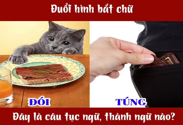 Câu tục ngữ, thành ngữ 'khó nhằn' này là gì? (P44)- Ảnh 3.