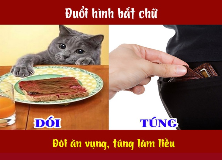 Câu tục ngữ, thành ngữ 'khó nhằn' này là gì? (P44)- Ảnh 4.