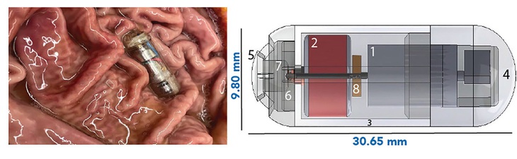 'Viên thuốc' công nghệ có khả năng tạo cảm giác no bụng- Ảnh 1.
