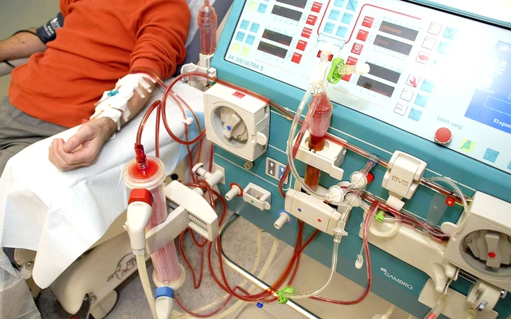 Thêm giải pháp cho bệnh nhân suy thận mạn: Kinh nghiệm từ các quốc gia trong khu vực - Ảnh 3.