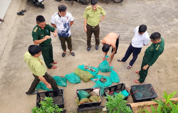 Chuyển 17 con khỉ đuôi dài ở Côn Đảo xuống thuyền, thấy kiểm lâm, vứt khỉ xuống biển, 10 con chết - Ảnh 1.