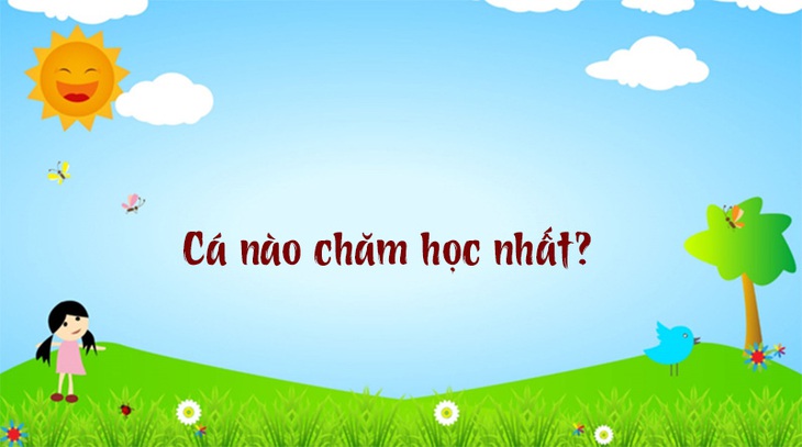Tỉnh nào ở Việt Nam nghe tên thấy giàu có? - Ảnh 2.