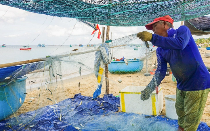 Du khách đổ xô đi ăn cá trích nướng sau clip hot rần rần trên mạng - Ảnh 11.