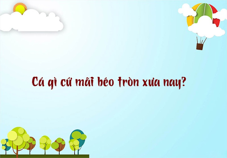Tỉnh nào Việt Nam trong tên bỏ đầu thì biến thành vàng? - Ảnh 3.