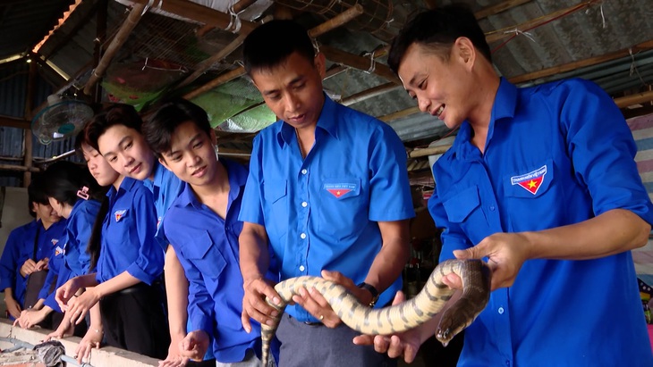 Thanh niên Cà Mau phối hợp trồng hơn 1.500 km cây xanh chống sạt lở - Ảnh 3.