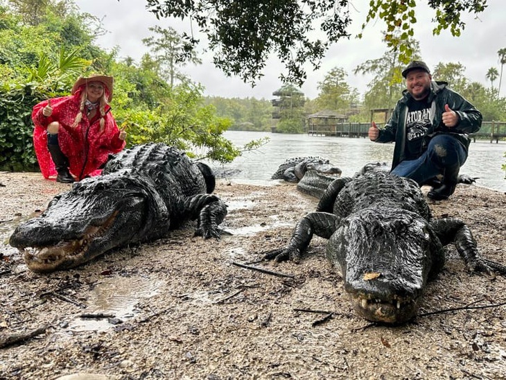 Dân Florida hoảng hồn vì 'cá sấu lên bờ' theo Bão Milton - Ảnh 1.