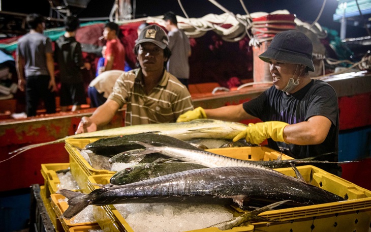 Khánh thành dự án nâng cấp cảng cá Thọ Quang, trung tâm nghề cá lớn nhất miền Trung - Ảnh 5.