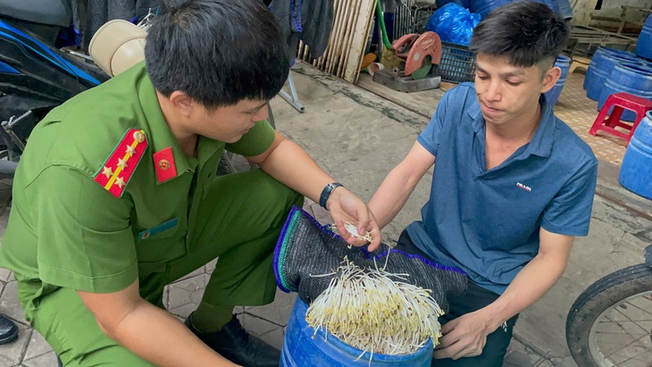 Khởi tố hai cơ sở làm 'trồng' bằng hóa chất - Ảnh 1.