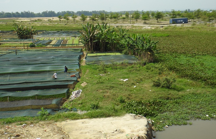 Đẩy nhanh tiến độ nạo vét, khơi thông sông Cổ Cò ở Quảng Nam - Ảnh 1.