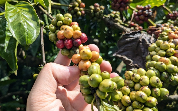 Chủ tịch tỉnh Gia Lai đề nghị các sở ngành, địa phương gần gũi hơn với báo chí - Ảnh 2.