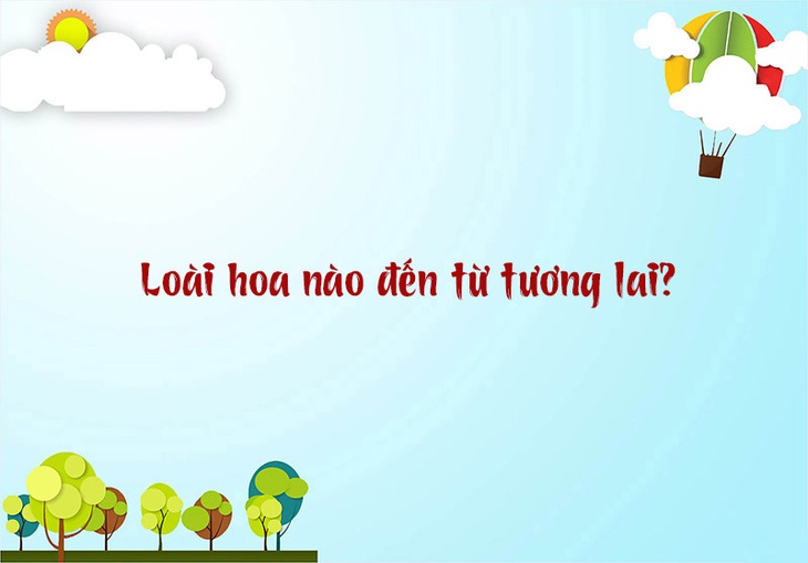 Tỉnh thành nào có tên dài nhất Việt Nam? - Ảnh 3.