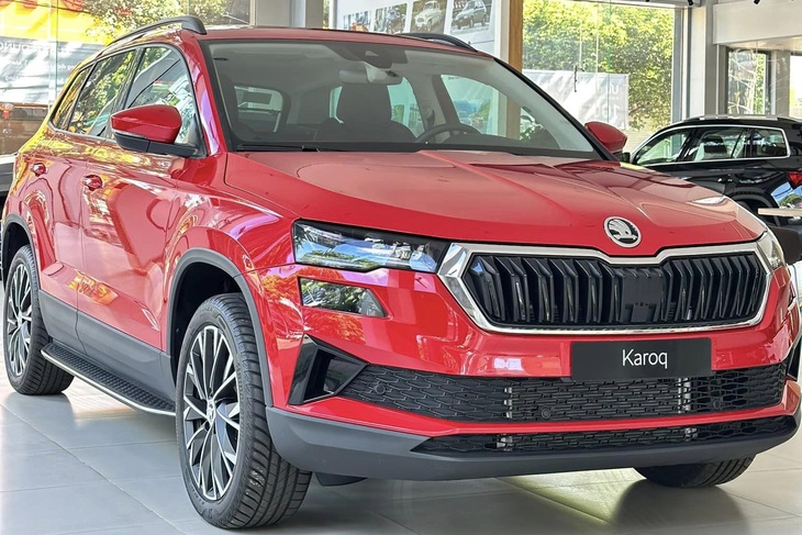 Tin tức giá xe: Skoda Karoq, Kodiaq giảm giá  - Ảnh 2.