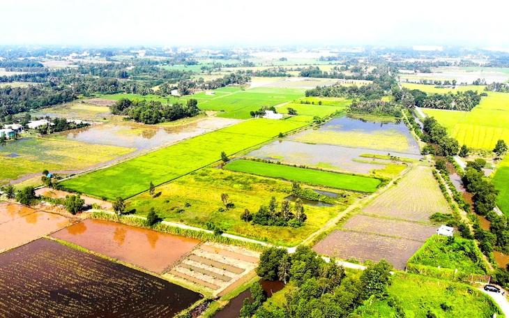 Quận Tân Bình sẽ họp giải quyết vụ hộ dân lo đóng thêm hơn 40 tỉ với giá đất mới - Ảnh 3.