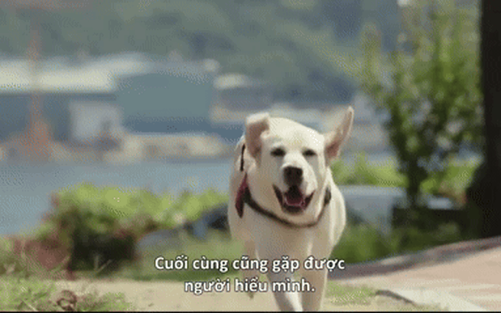 Bỏ lại cuộc sống ổn định, Bình Bông Bụp lên đường chu du khắp Việt Nam - Ảnh 6.