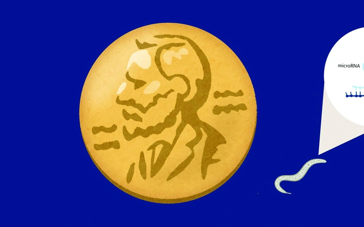 Nobel Y sinh 2025: Mở ra kỷ nguyên mới của miễn dịch học - Ảnh 3.