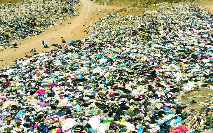 Mua đồ si có thật sự giúp bảo vệ môi trường? - Ảnh 3.