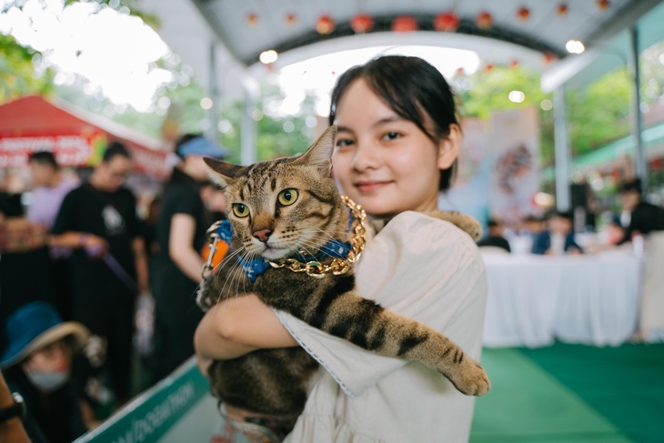 Thi làm đẹp cho thú cưng - Ảnh 17.