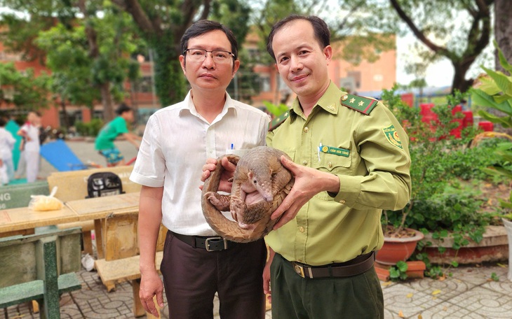 Phát hiện chim quý hiếm bay lạc vào nhà dân ở quận Tân Bình, TP.HCM - Ảnh 4.