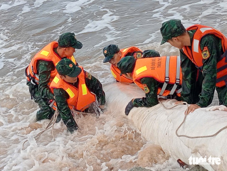 Huế triển khai cắt tỉa cây xanh đường phố, gia cố bờ biển sạt lở ứng phó bão Trami - Ảnh 3.