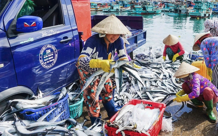 Người dân nhộn nhịp cân cả trăm tấn cá biển ở cảng cá Tắc Cậu - Ảnh 11.