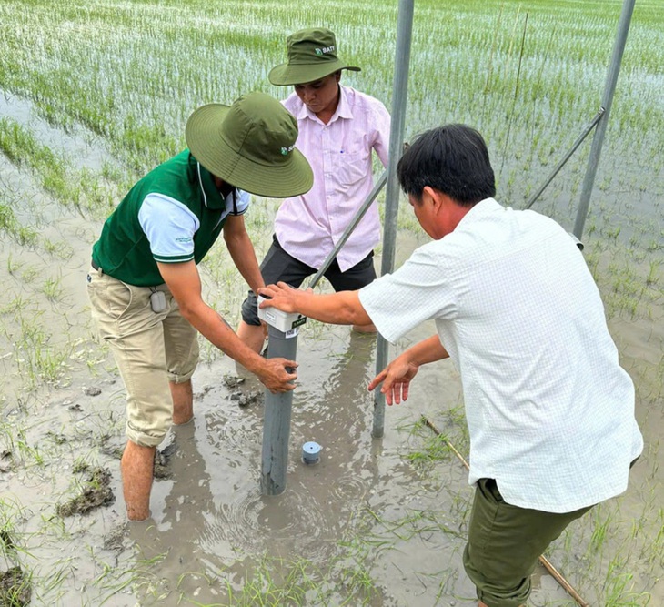 Trồng lúa sạch ứng dụng công nghệ, tăng thu nhập cho nông dân - Ảnh 4.