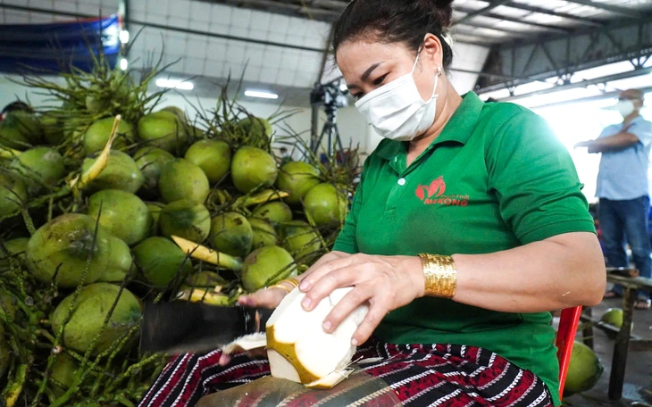 Xuất khẩu lô xoài tượng da xanh đầu tiên sang thị trường Mỹ  - Ảnh 5.