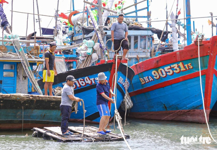 Đà Nẵng đón hàng loạt tàu cá miền Trung trở về tránh bão Trà Mi - Ảnh 2.