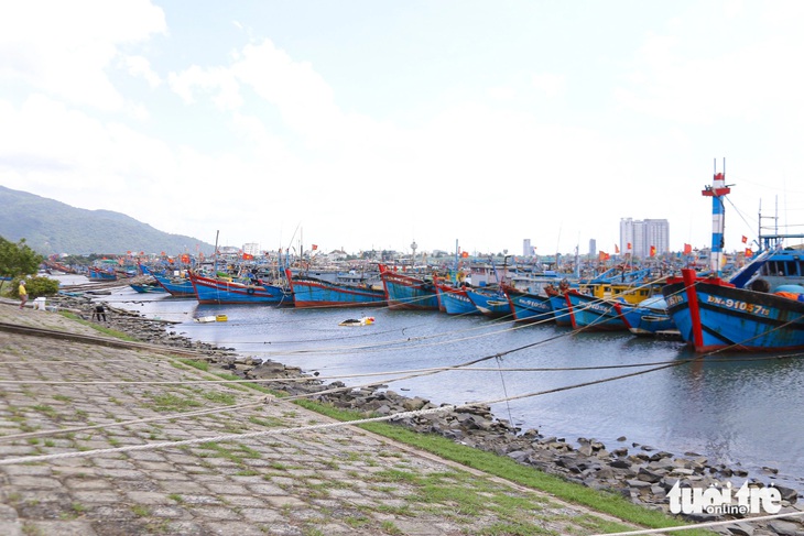 Đà Nẵng đón hàng loạt tàu cá miền Trung trở về tránh bão Trà Mi - Ảnh 3.