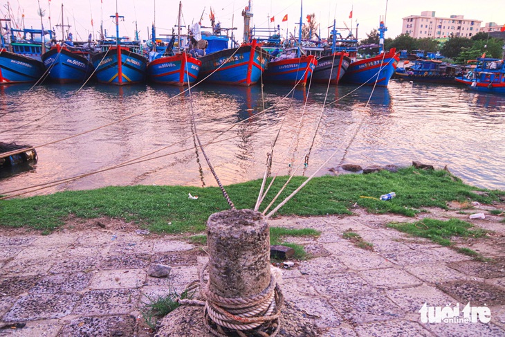 Đà Nẵng đón hàng loạt tàu cá trở về tránh bão Trà Mi - Ảnh 6.