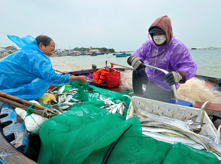 'Bão vào, sóng to cá mới nhiều' bà con bất chấp lệnh cấm ra biển đánh bắt. - Ảnh 5.