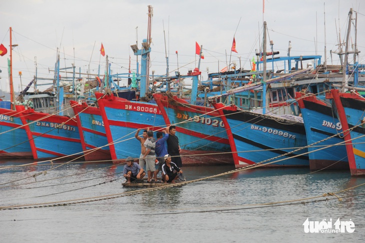 Đà Nẵng cấm biển, lo phương án đối phó ngập và sạt lở đất trong bão Trà Mi - Ảnh 1.