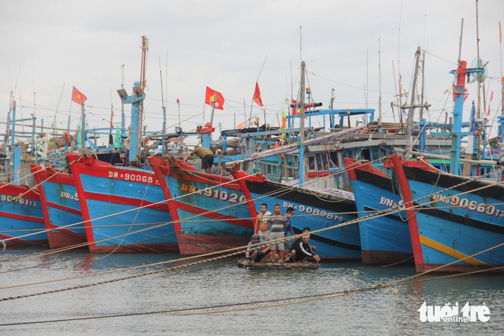 Hơn 1.800 tàu tránh bão Trà Mi, yêu cầu thuyền viên lên bờ trước 10h sáng mai - Ảnh 1.