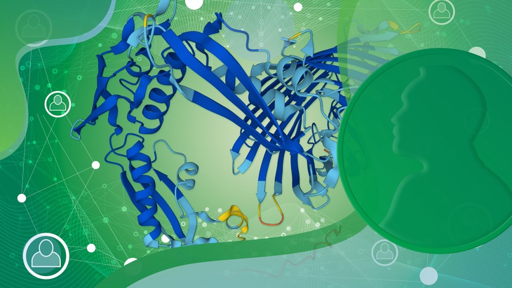 Nobel hóa học 2024: Hiện hình cấu trúc protein - Ảnh 3.