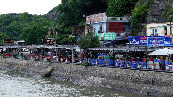 'Cát Bà cần mở rộng không gian để thêm dư địa phát triển du lịch xanh' - Ảnh 5.