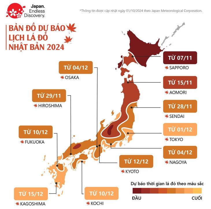 Mùa lá vàng, lá đỏ ở Nhật đến muộn - Ảnh 2.