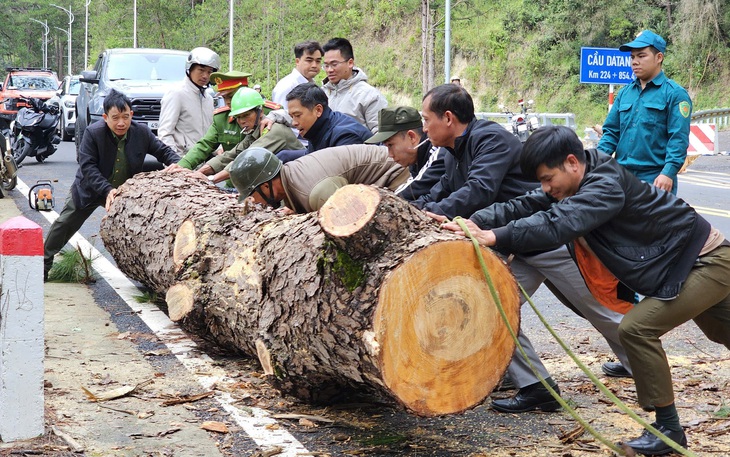 Các điểm nhấn của Festival hoa Đà Lạt 2024 - Ảnh 6.